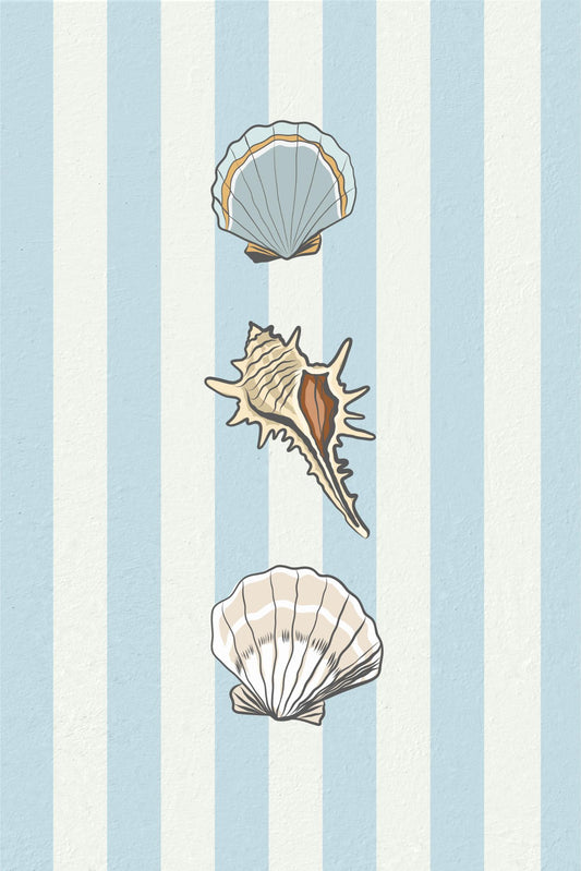 Shells on Blue Stripes