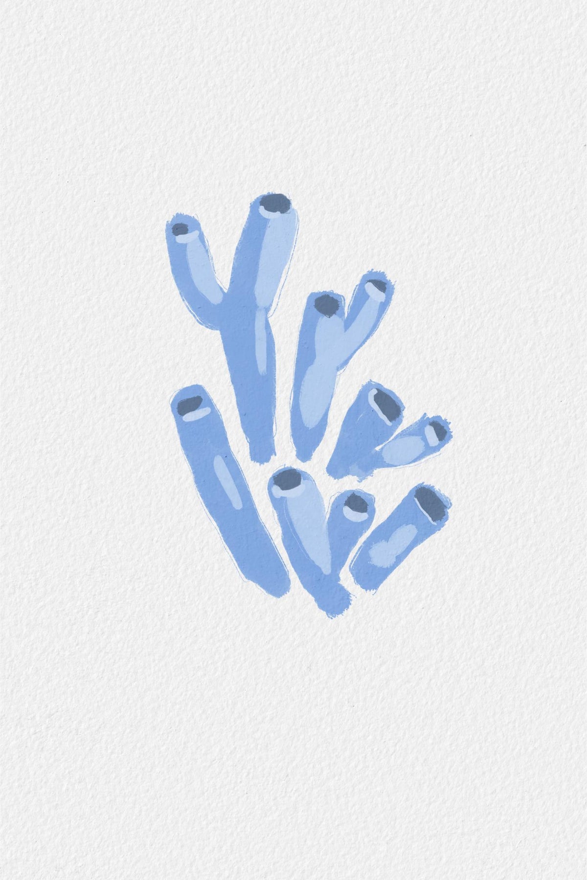 Blue Coral
