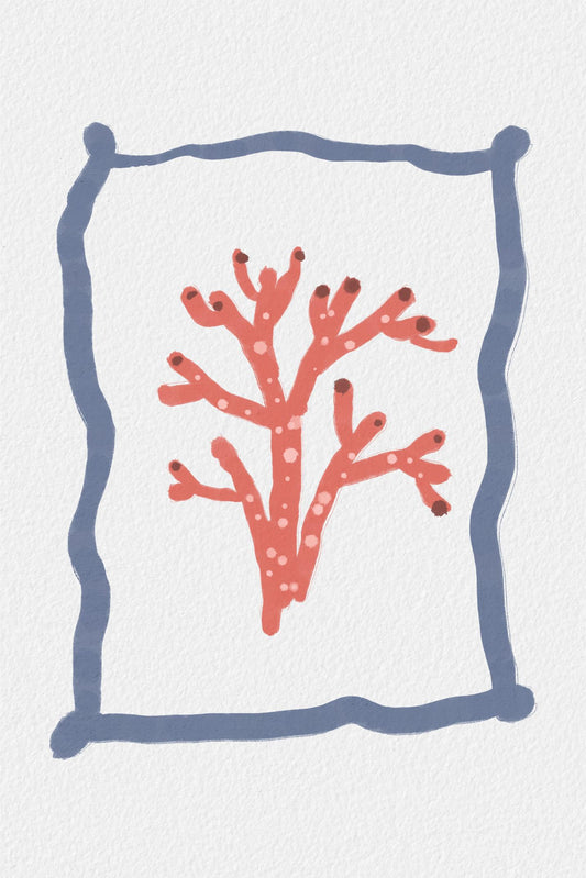 Coral in a Blue Frame
