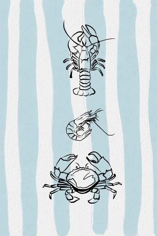 Lobster, Prawn and Crab Line Art