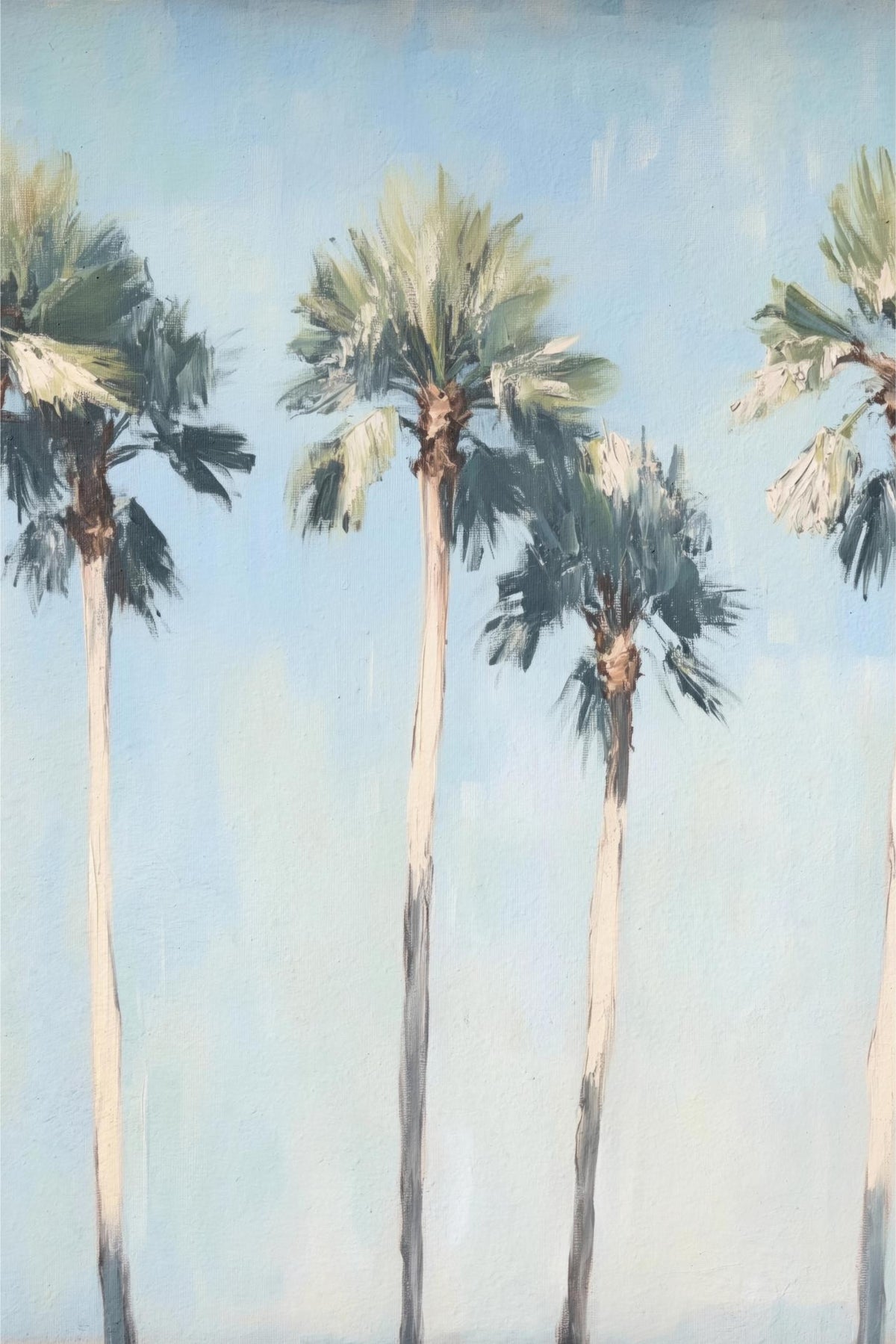 Tall Palms in Haze