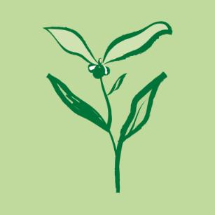 Green Sprout Brushwork