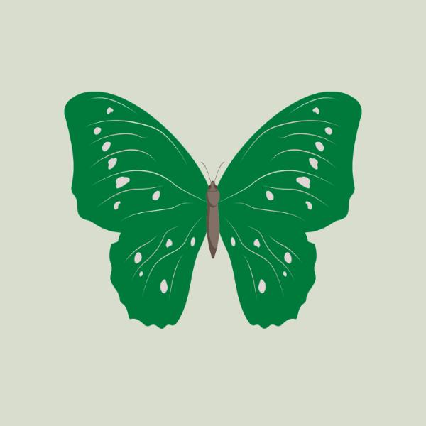 Emerald Butterfly