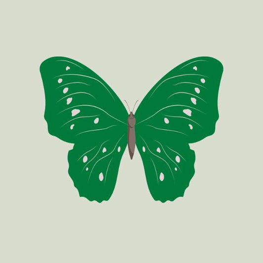 Emerald Butterfly
