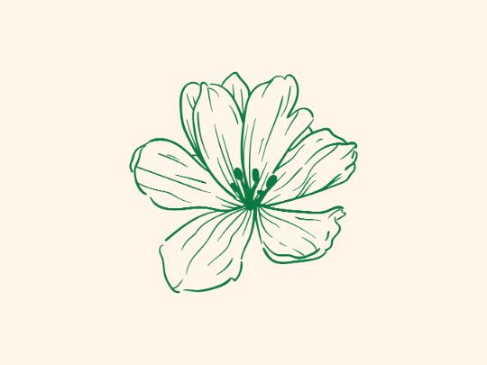 Emerald Blossom Line Art