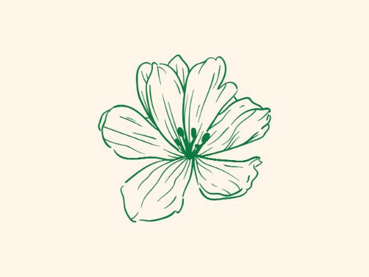 Emerald Blossom Line Art