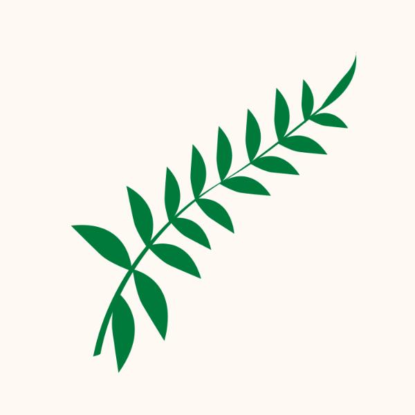 Emerald Fern Sprig